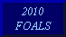 06 foals for sale
